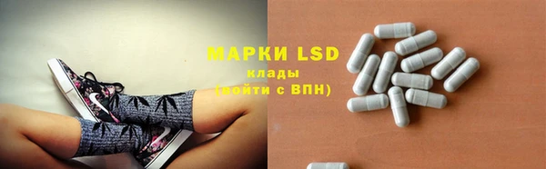 индика Балабаново