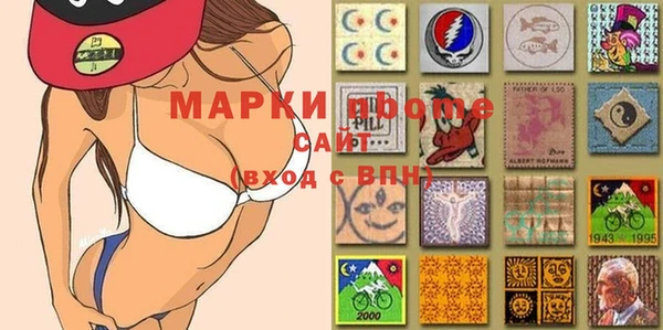 индика Балабаново