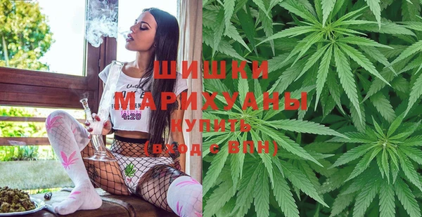 индика Балабаново