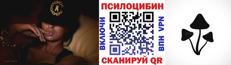 Купить где  Артёмовский  Псилоцибиновые грибы Psilocybe 